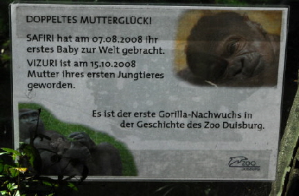 Gorillatafel