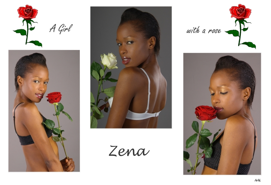 Zena Compisition